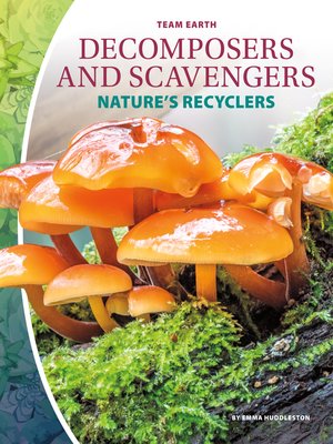 cover image of Decomposers and Scavengers